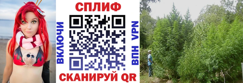 Меф мяу мяу Вятские Поляны