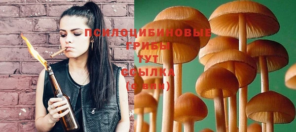 mix Баксан
