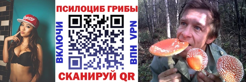 Псилоцибиновые грибы Psilocybine cubensis  Вятские Поляны 